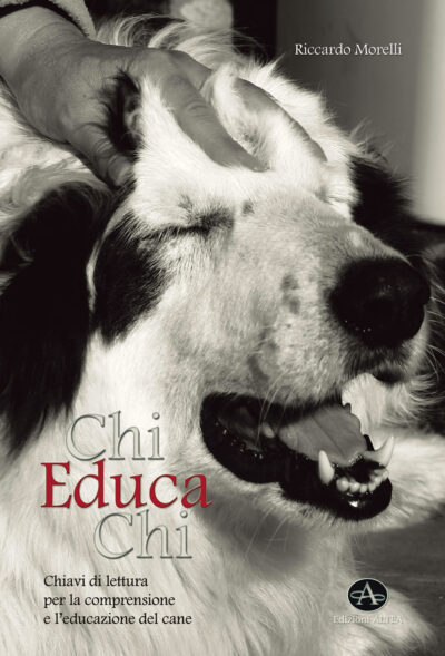 Chi educa Chi