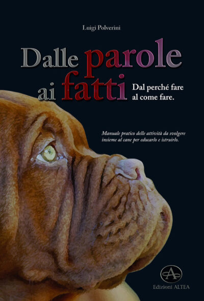 Dalle parole ai fatti
