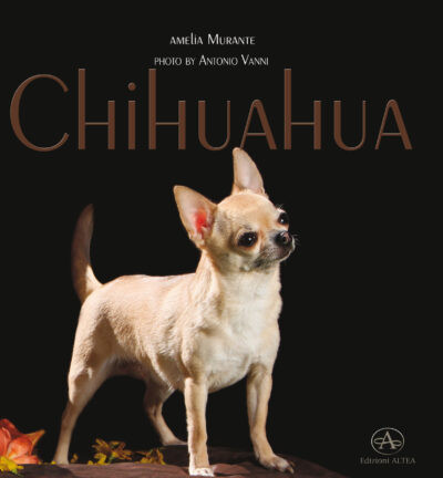 CHIHUAHA (monografia Fotografica)