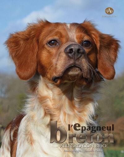 L’ Epagneul Breton (Monografia)
