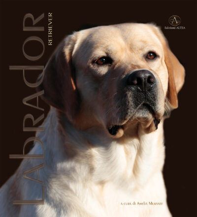Labrador Retriever (Monografia)