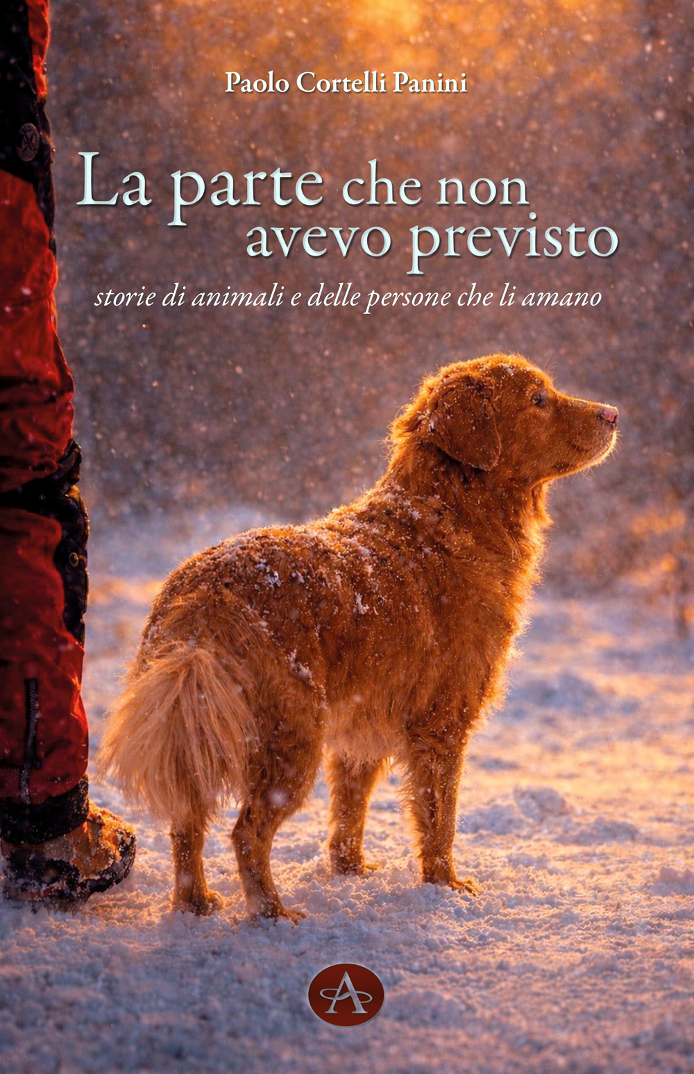 La parte che non avevo previsto